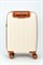 Чемодан маленький PP (6 верт. полос) 50005-1/бежевый_с_коричневым 16149